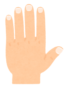 手の爪